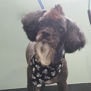 Meet your Posher, Stacy